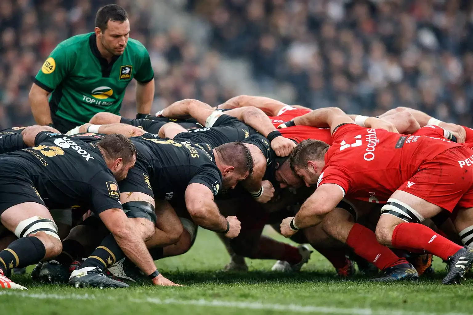 Mêlée de rugby professionnel entre deux équipes du Top 14